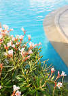Aliathon Holiday Village 